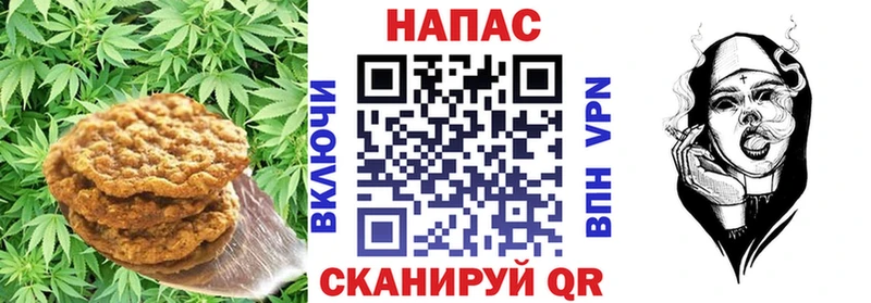 omg маркетплейс Отрадное shop формула Canna-Cookies конопля