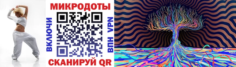 Псилоцибиновые грибы Cubensis Отрадное